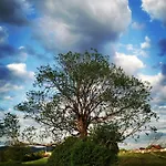Schlossnest Isny - Denkmal Kultur Park Stadt Apartmán Isny im Allgäu