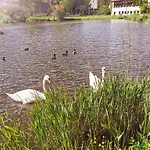 Schlossnest Isny - Denkmal Kultur Park Stadt Isny im Allgäu