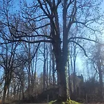 Schlossnest Isny - Denkmal Kultur Park Stadt * Isny im Allgäu