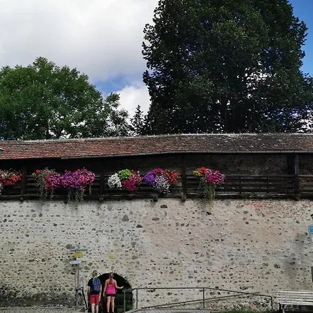 Apartment Ferienstudio Altstadtflair - Historisch Urlauben Im Denkmalschutz Am Kurpark