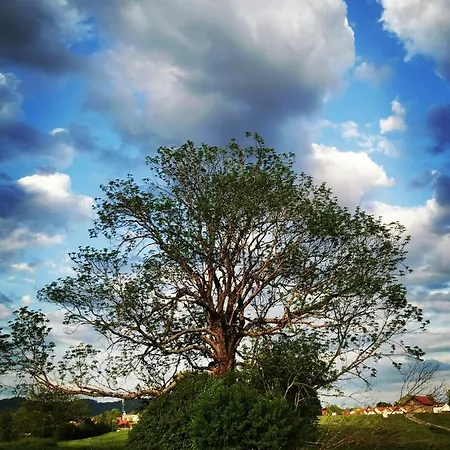 Schlossnest Isny - Denkmal Kultur Park Stadt Apartment Isny im Allgäu