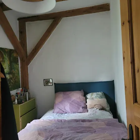 Ferienstudio Altstadtflair - Historisch Urlauben Im Denkmalschutz Am Kurpark Apartment