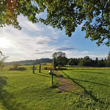 Ferienstudio Altstadtflair - Historisch Urlauben Im Denkmalschutz Am Kurpark