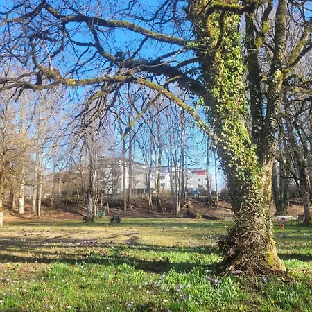 Schlossnest Isny - Denkmal Kultur Park Stadt Διαμέρισμα *