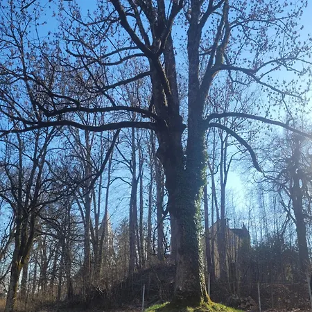Schlossnest Isny - Denkmal Kultur Park Stadt * Isny im Allgäu