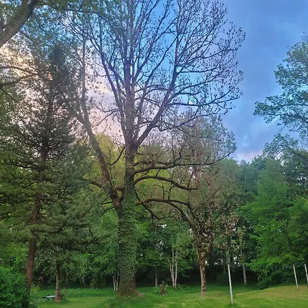 Schlossnest Isny - Denkmal Kultur Park Stadt * Isny im Allgäu