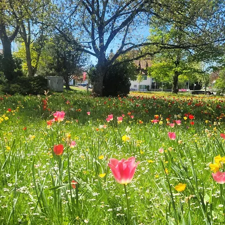 Schlossnest Isny - Denkmal Kultur Park Stadt